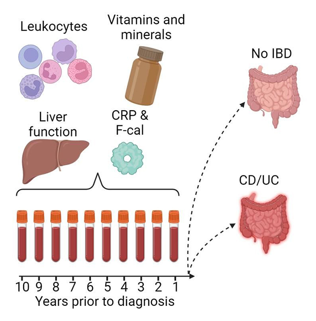 Blood chart