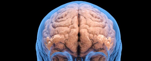 A brain illustration inside a transparent blue head