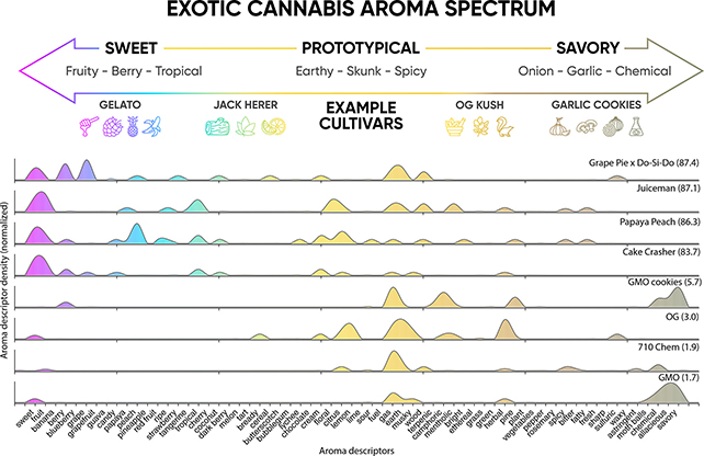 Cannabis smells