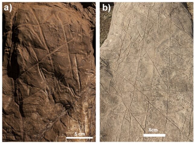 Panel of two images comparing purported scratch-like art and similar markings made by natural processes. 