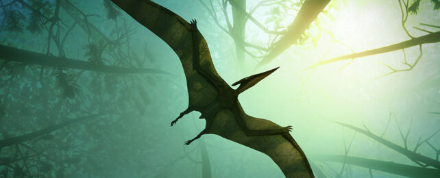 Pteranodon flying through a forest