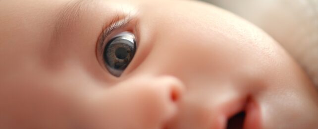 Newborn Baby With Eye Open