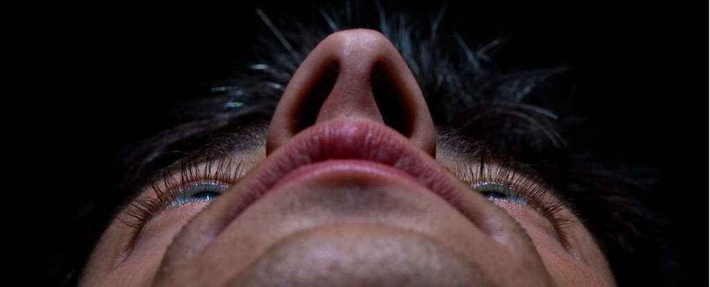 Cada una de tus fosas nasales huele el mundo de manera única, revela un estudio: ScienceAlert