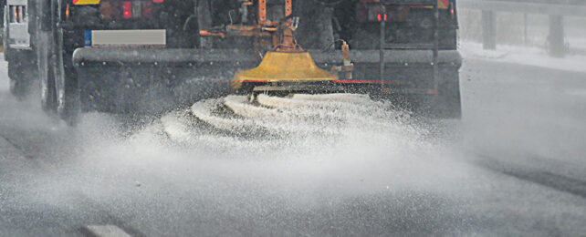 Snow plow salting