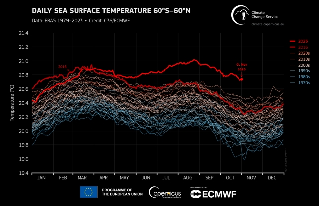 graph of sea surface temperature