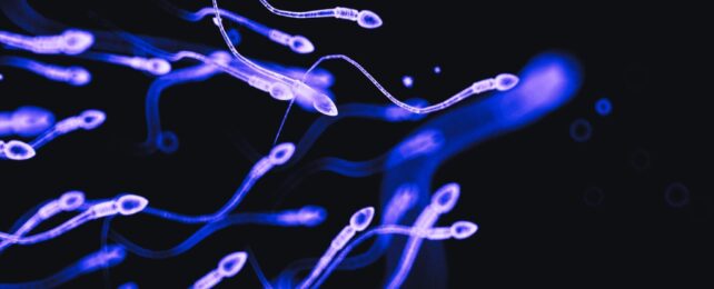 purple sperm on a black background