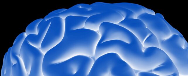 Wrinkly Brain Folds In Blue