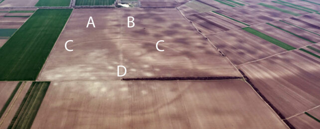 Archaeologists Discover Hidden Clues About Who Really Built Europe's Bronze Age Mega-Forts
