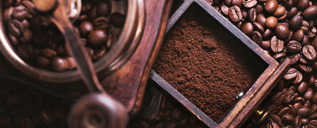 Particle Hidden in Old Coffee Grounds May Help Protect Against Parkinson’s