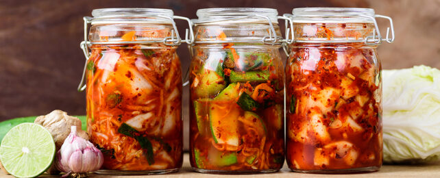 kimchi in three jars