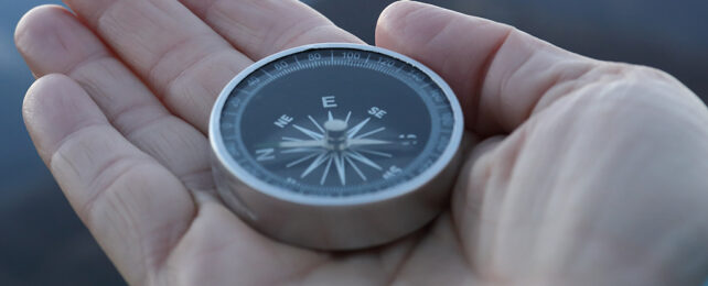 magnetic compass in a person's hand