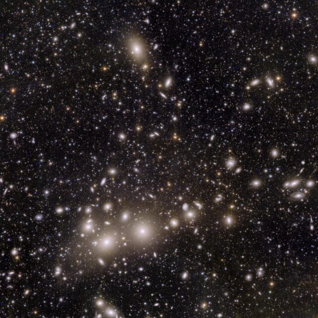 Perseus cluster