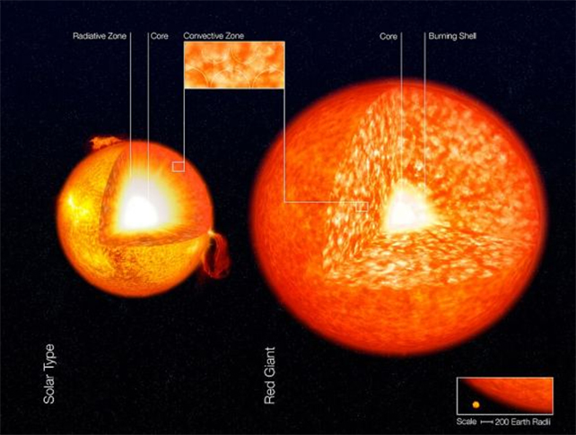 diagram of sun-like star and red giant structures