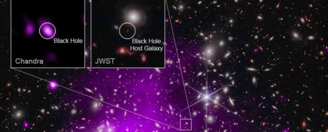 Earliest Black Hole Ever Spotted at The Dawn of Time And It's Already Huge