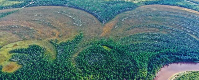 The World's Oldest Settlements Were Built by a Culture Nobody Expected