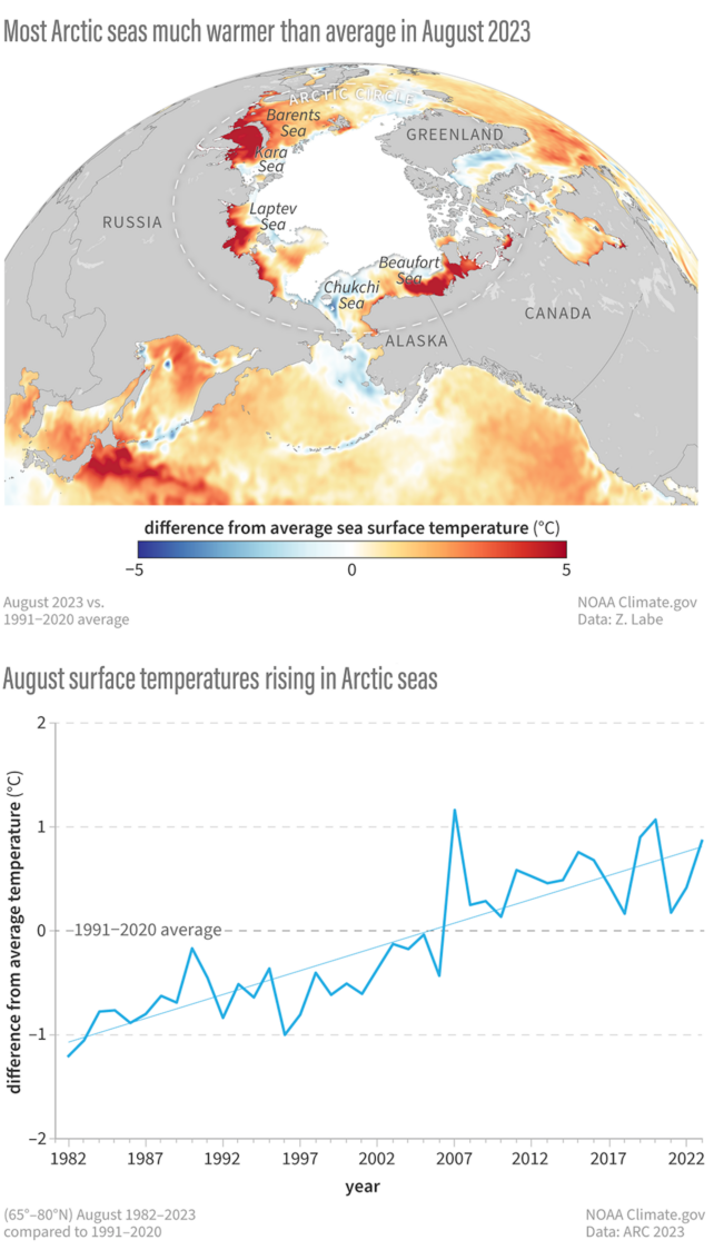 Heat map and graph showing Arctic sea temperatures in August 2023