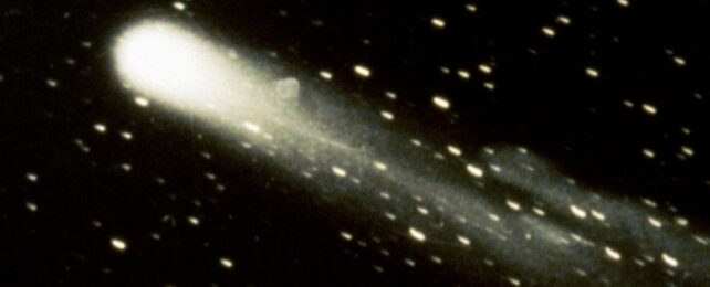 Halley's comet