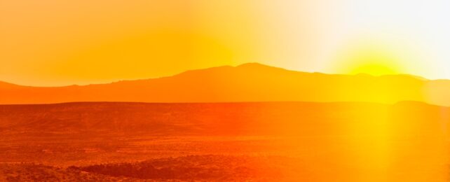 Hot Bright Desert Landscape