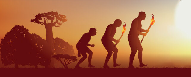 illustration of early evolution of humans from trees to torch bearer