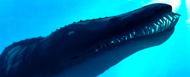 Pliosaur With Sharp Teeth Underwater
