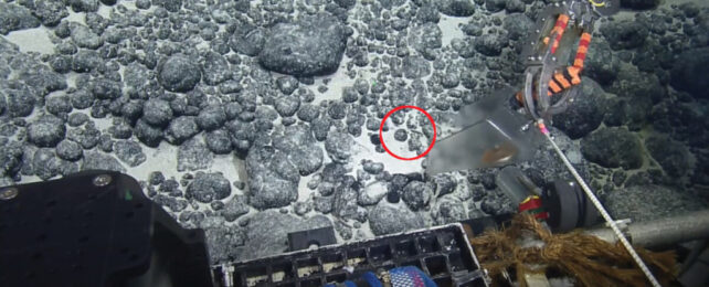 Footage of rocky ocean floor captured by remotely operated submersible; control panel of vessel in foreground.
