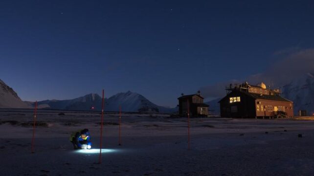 Lone researcher collecting snow samples in Arctic, by torchlight.