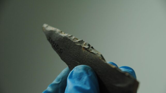 Jagged stone tool held up by hand in blue glove.