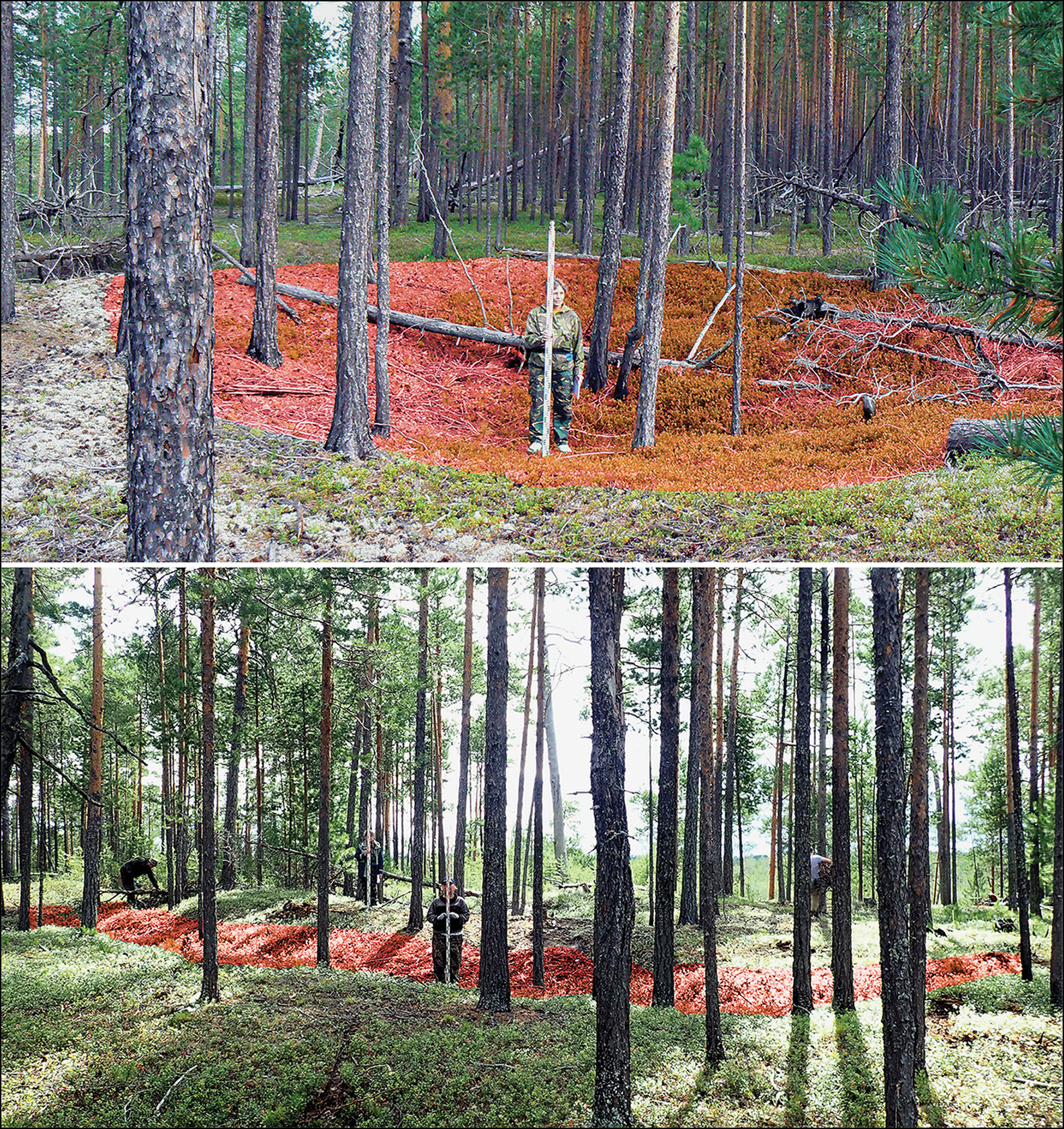 The World's Oldest Settlements Were Built by a Culture Nobody Expected ...