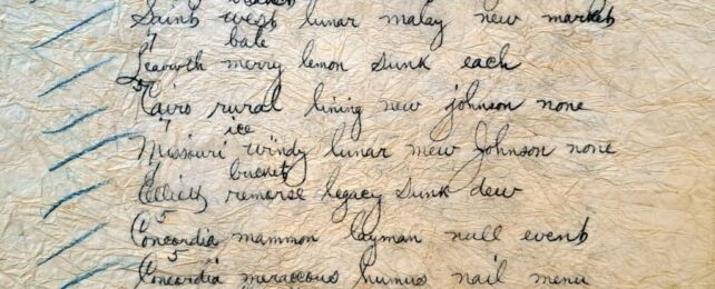 Secret Message Hidden in a Victorian-Era Silk Dress Is Actually a Long-Lost Code