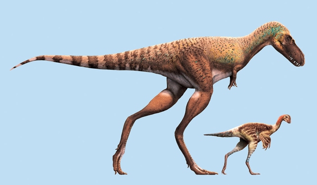 Two Dinosaurs Size Comparison