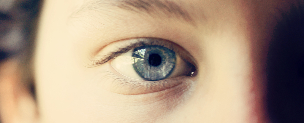 Un patrón oculto en los ojos de los niños puede revelar si tienen autismo: Heaven32
