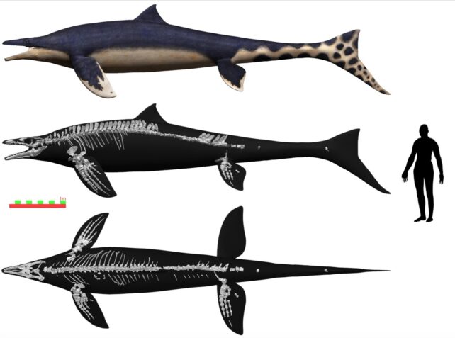 Mosasaur Monster