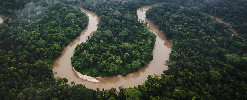 El grupo de antiguas ciudades perdidas en el Amazonas es el más grande jamás encontrado: Heaven32