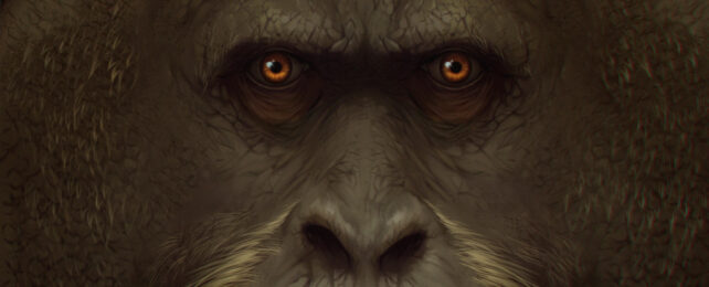 Artist illustration of great ape with orange-yellow eyes and flaring nostrils.