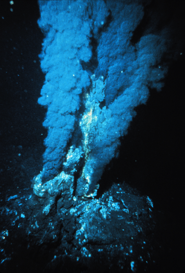 A black smoker at a mid-ocean ridge hydrothermal vent