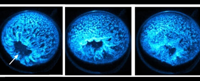 Series of three images showing the molecules making up a blob shape changing in their configuration