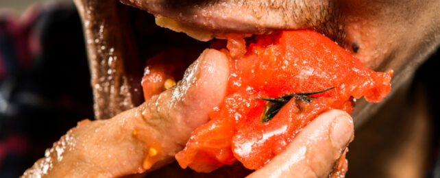 Close up of a person eating a tomato, juice running down their hand.