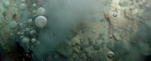 close-up of bubbles from a hydrothermal vent