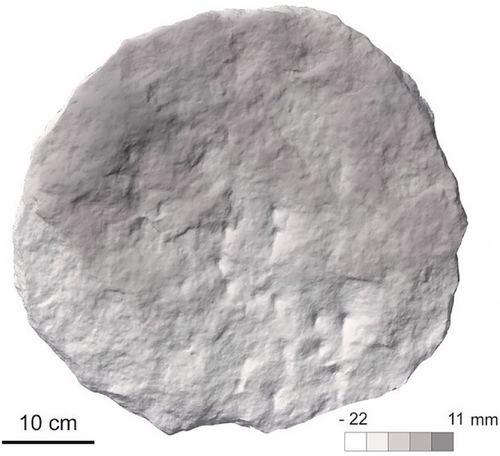 Greyscale elevation map of the face of the stone