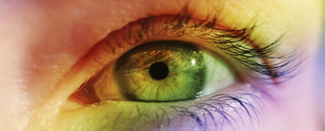 Just One Molecule Allows Us to See Millions More Colors Than Our Pets