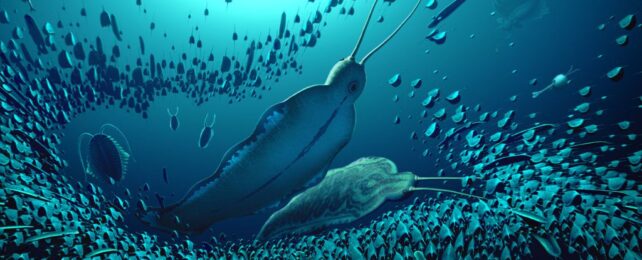 'Giant' Predator Worm That Ruled Ancient Oceans Discovered in Greenland