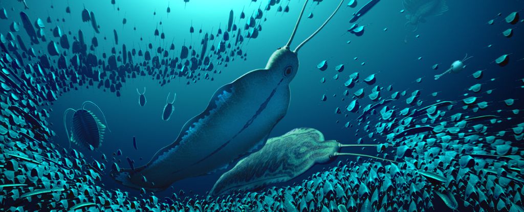 Un ver prédateur « géant » qui régnait sur les océans anciens découvert au Groenland : ScienceAlert