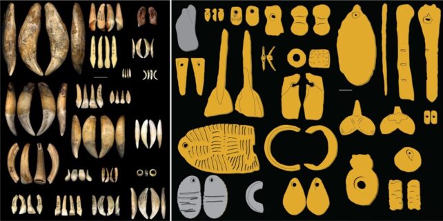 Pingentes gravettianos feitos de dentes de animais (painel esquerdo) e moldados com ossos, marfim, pedra e âmbar (painel direito).