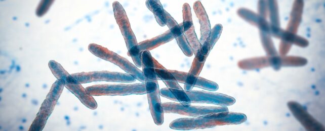 Mycobacterium ulcerans