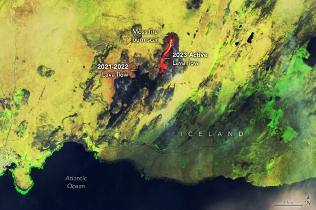 Satellite image showing red lava flows and scorched black areas on artificially coloured yellow-green land surface. 