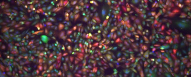 Scientists Think They're on The Verge of Breaching The Blood-Brain Barrier