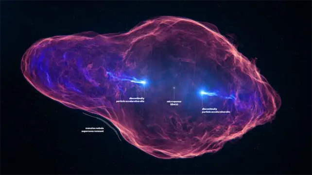 labelled image of the manatee nebula