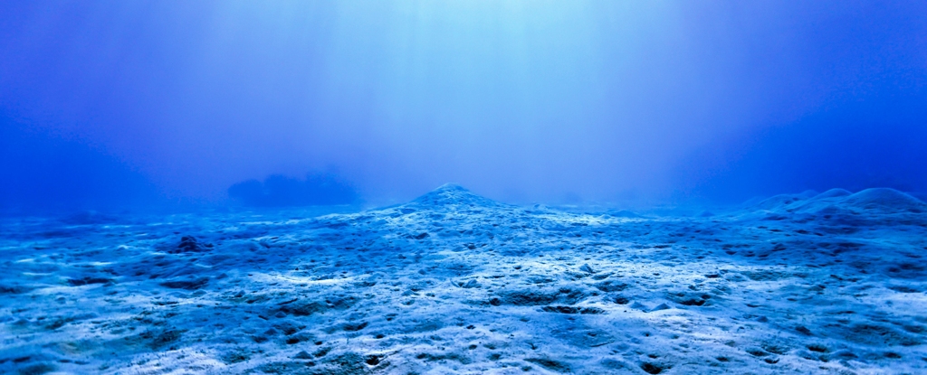 Zagadka dziwnych dziur w dnie oceanu w końcu rozwiązana: ScienceAlert