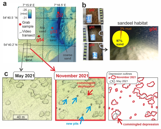 Seafloor Marks Images