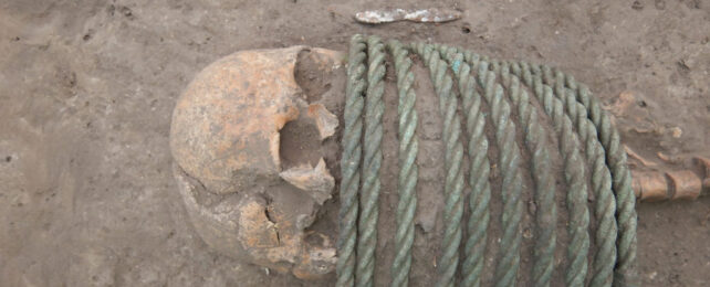 Skull with rope wrapped around neck